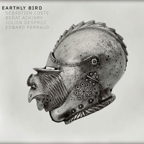 Earthly Bird